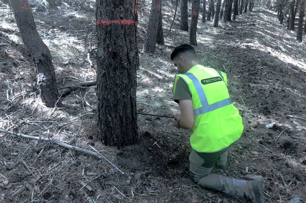 Trabajador gestión forestal